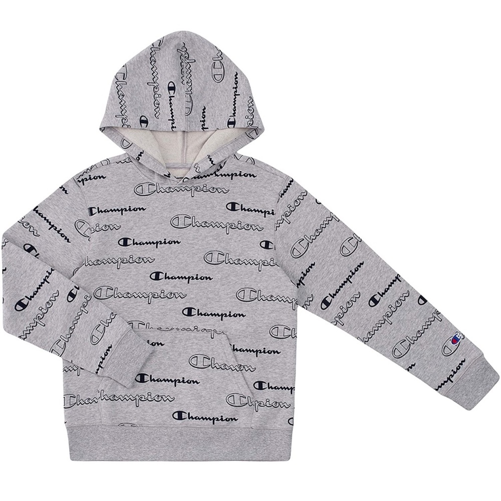 Champion, Gray, Boy hoodie with blue print